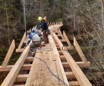 Brückensanierung Waldbahnbrücke