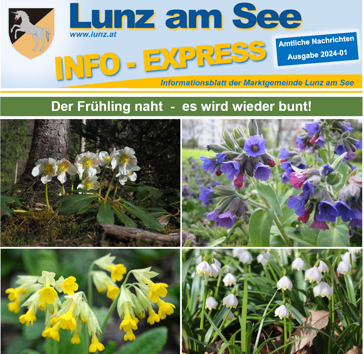 Der neue Info-Express ist da!