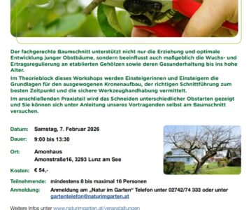 Obstbaumschnittkurs Natur in Garten  Lunz am See 2026