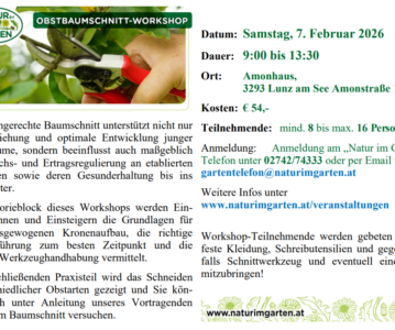 Obstbaumschnitt Workshop
