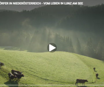 Lunz im Hauptabendprogramm