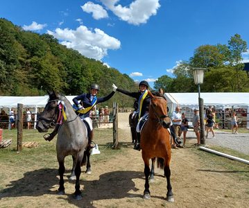 Große Erfolge für Lunzer Pferdezüchter beim NÖ Norikerfestival