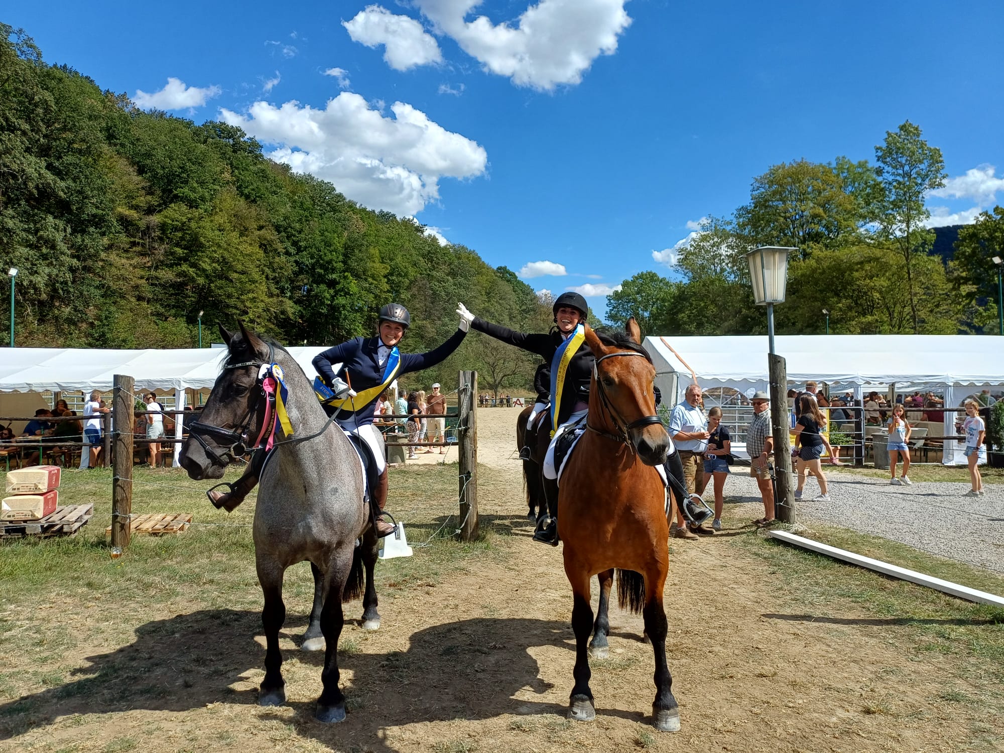 Große Erfolge für Lunzer Pferdezüchter beim NÖ Norikerfestival